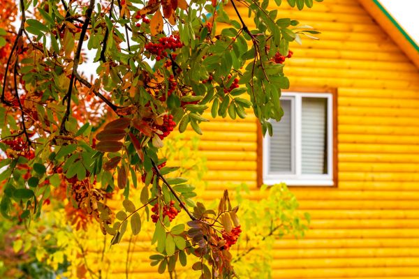 Cost of Garden Window Replacement in Plant City